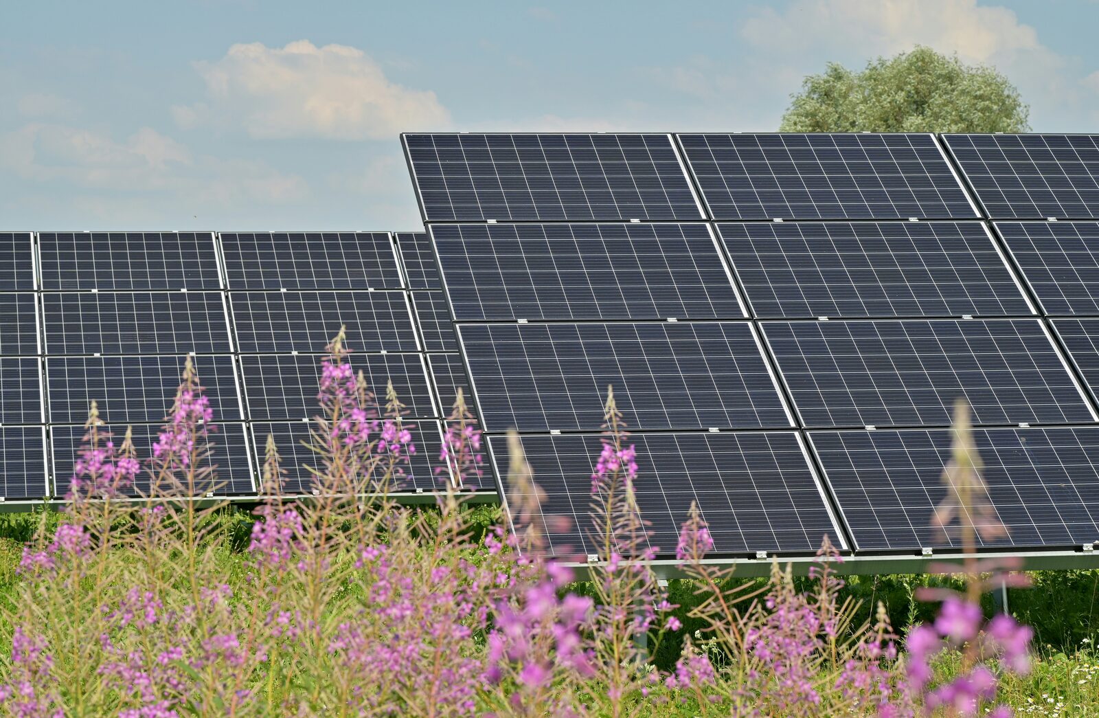 Solarpark Symbolbild
